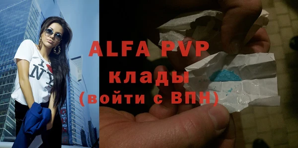 индика Белоозёрский