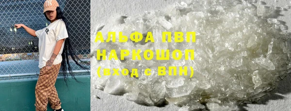 индика Белоозёрский