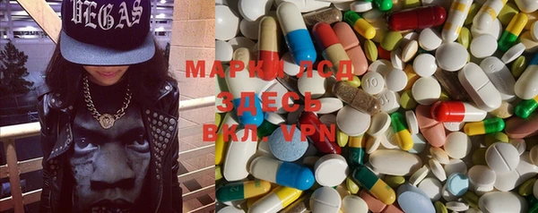 индика Белоозёрский