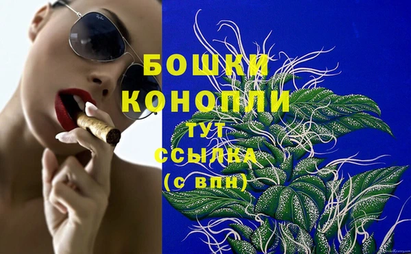 бутират Белокуриха