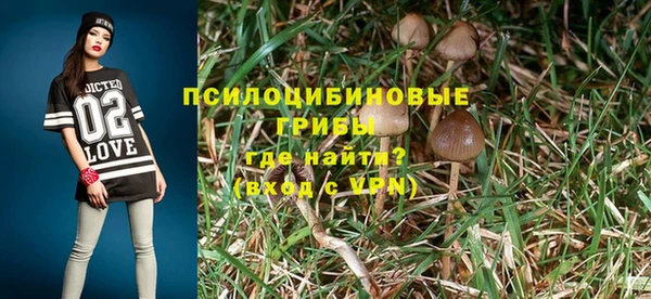 трава Беломорск