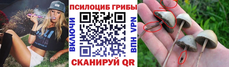 Псилоцибиновые грибы Magic Shrooms продажа наркотиков Вуктыл